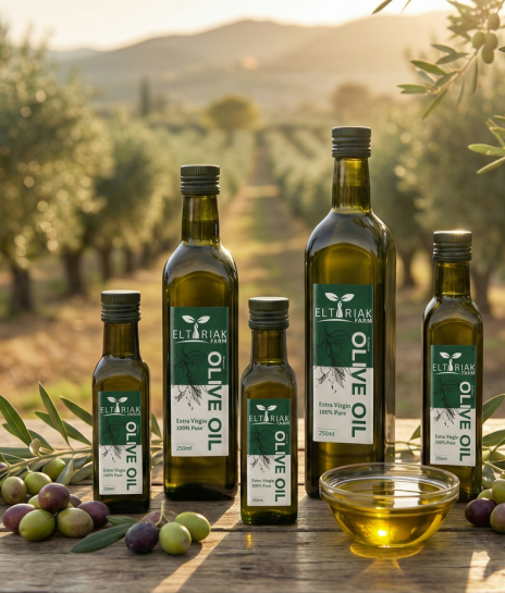 Olive-Oil-01
