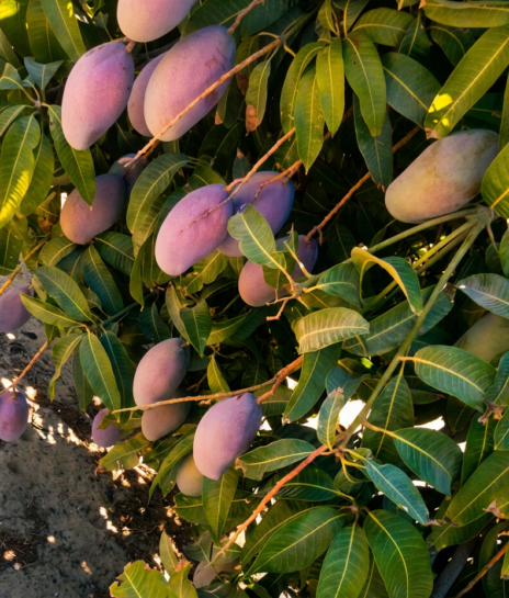 magnific_enhance-this-image-into-a_l7jiUNSgv9.webp