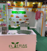 Asia Fruit logistica 2025- (3)