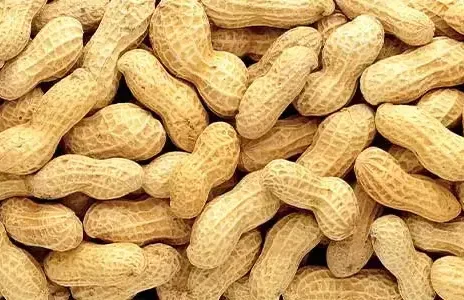 cacahuete1